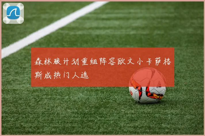 森林狼计划重组阵容欧文小卡萨格斯成热门人选